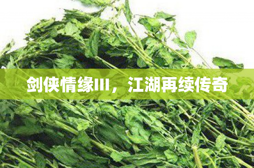 剑侠情缘III图片