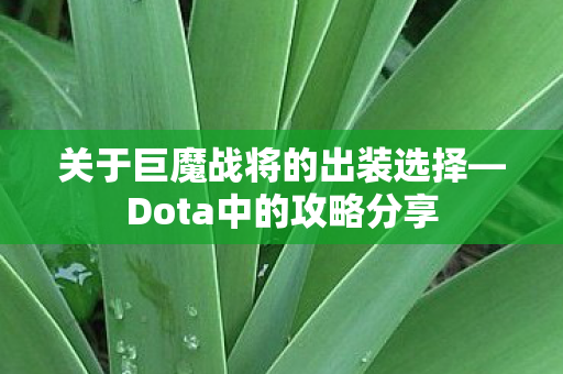 关于巨魔战将的出装选择图片