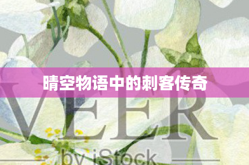 晴空物语中的刺客传奇图片