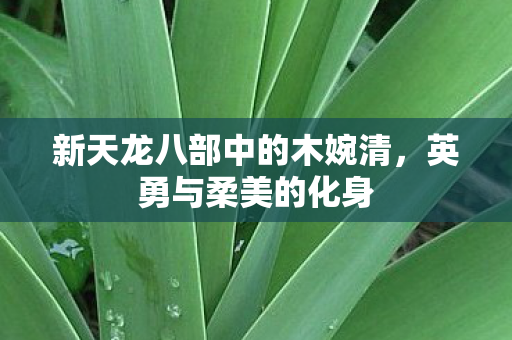 新天龙八部中的木婉清图片
