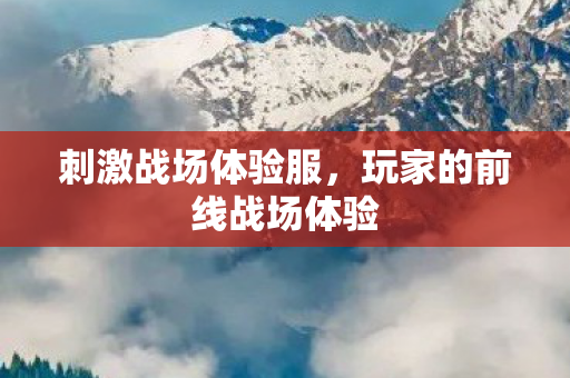 玩家的前线战场体验图片