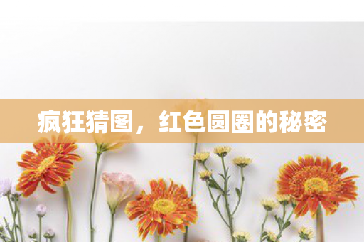 红色圆圈的秘密图片