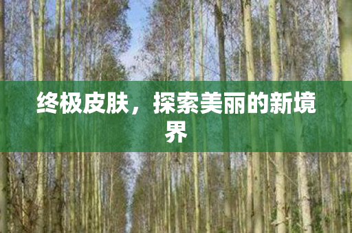 探索美丽的新境界图片