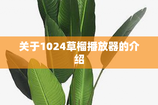 关于1024草榴播放器的介绍图片