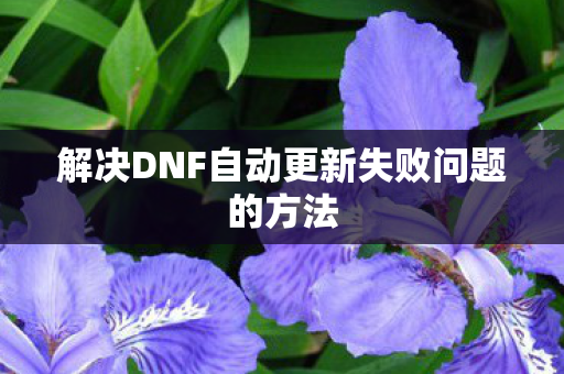 解决DNF自动更新失败问题的方法图片