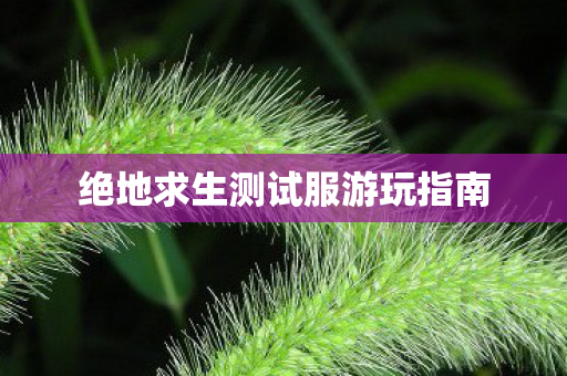 绝地求生测试服游玩指南图片