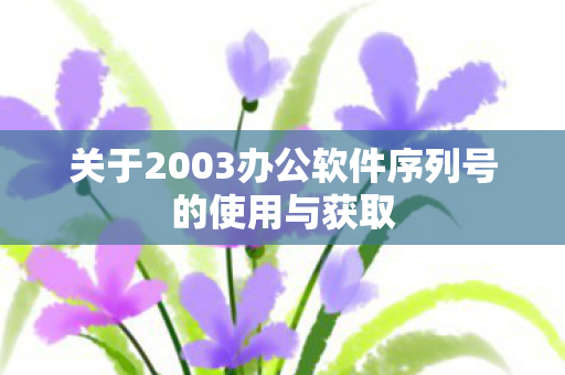 关于2003办公软件序列号的使用与获取图片