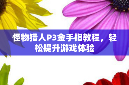 怪物猎人P3金手指教程图片
