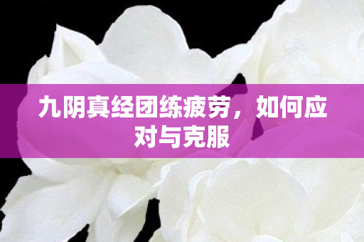 九阴真经团练疲劳图片