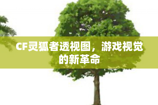 CF灵狐者透视图图片