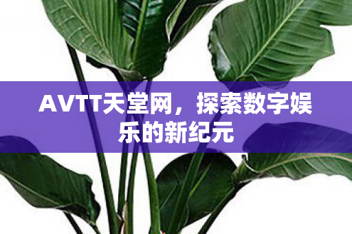 探索数字娱乐的新纪元图片