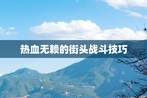 热血无赖的街头战斗技巧图片