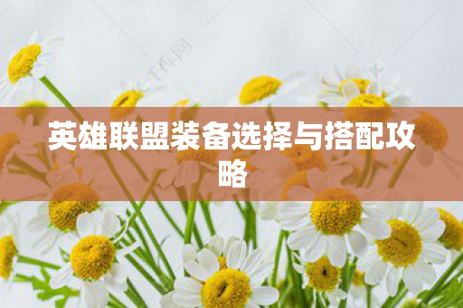 英雄联盟装备选择与搭配攻略图片