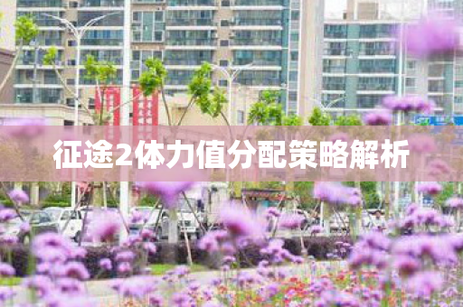 征途2体力值分配策略解析图片