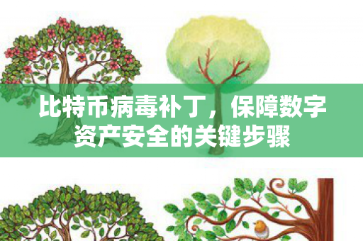 保障数字资产安全的关键步骤图片