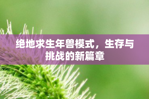 生存与挑战的新篇章图片