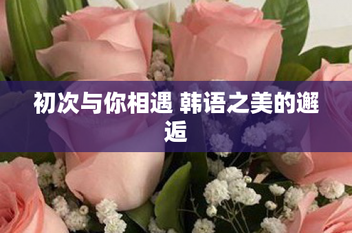 初次与你相遇 韩语之美的邂逅图片