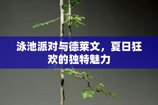 夏日狂欢的独特魅力图片