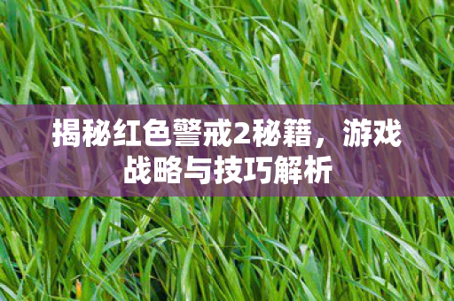 揭秘红色警戒2秘籍图片
