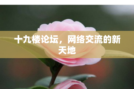 网络交流的新天地图片