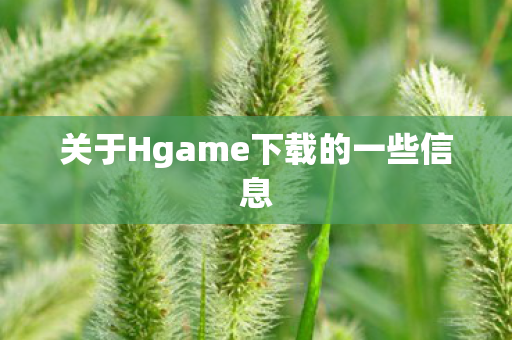 关于Hgame下载的一些信息图片