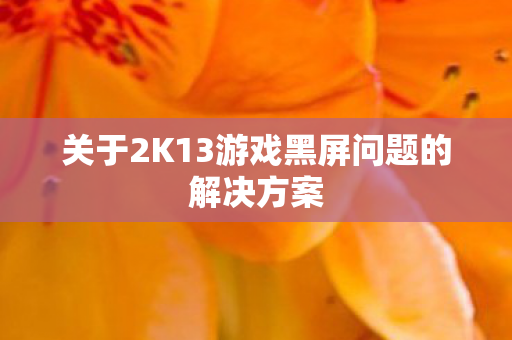 关于2K13游戏黑屏问题的解决方案图片