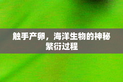 海洋生物的神秘繁衍过程图片
