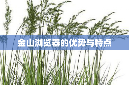 金山浏览器的优势与特点图片