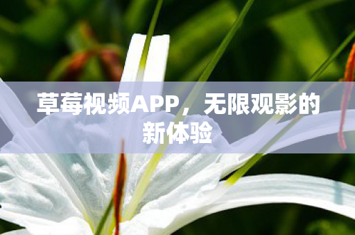 无限观影的新体验图片