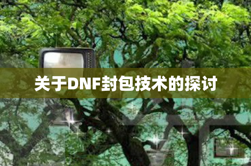 关于DNF封包技术的探讨图片