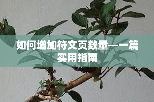 如何增加符文页数量图片