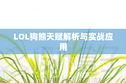 LOL狗熊天赋解析与实战应用图片