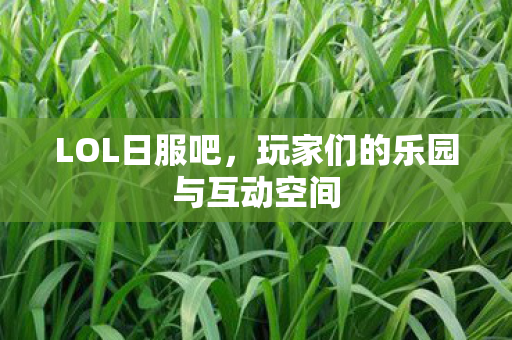 玩家们的乐园与互动空间图片
