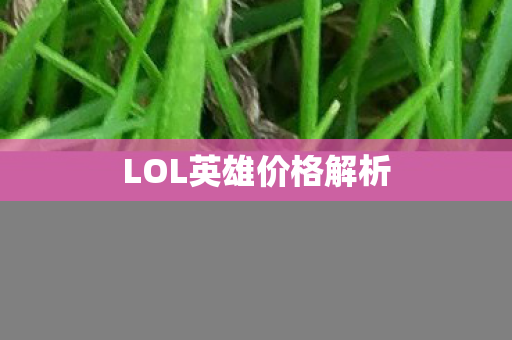 LOL英雄价格解析图片