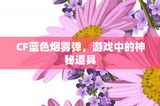 游戏中的神秘道具图片