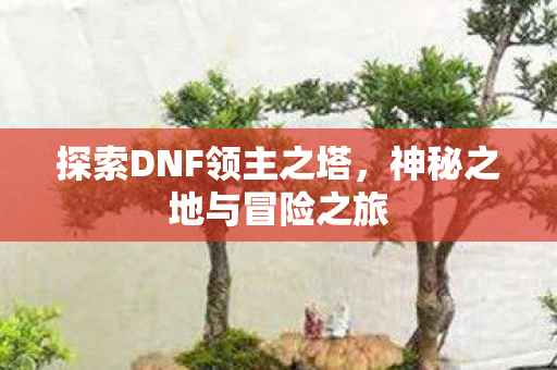 探索DNF领主之塔图片