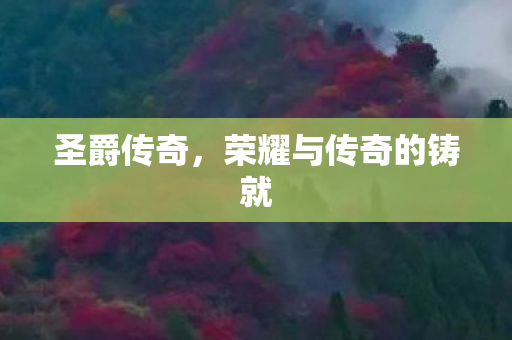 荣耀与传奇的铸就图片