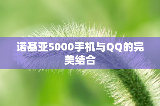 诺基亚5000手机与QQ的完美结合图片