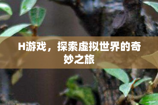 探索虚拟世界的奇妙之旅图片