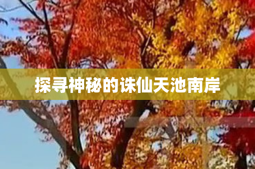 探寻神秘的诛仙天池南岸图片