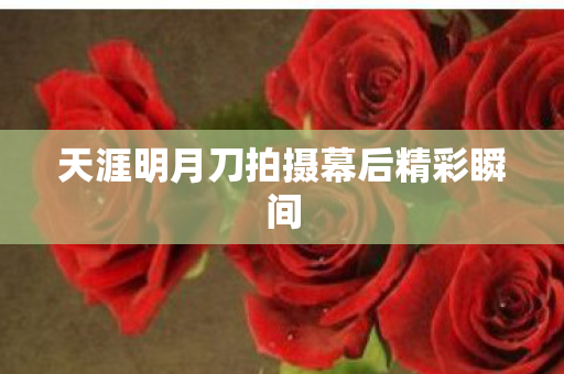 天涯明月刀拍摄幕后精彩瞬间图片