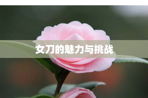 女刀的魅力与挑战图片