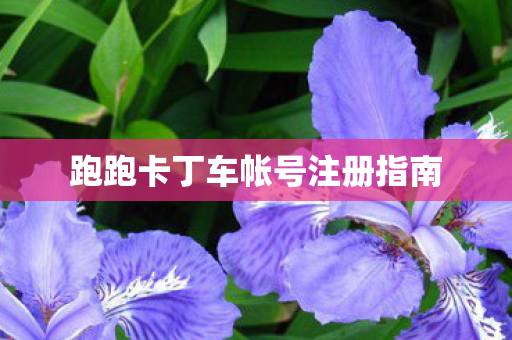 跑跑卡丁车帐号注册指南图片