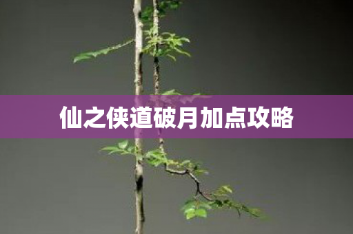 仙之侠道破月加点攻略图片