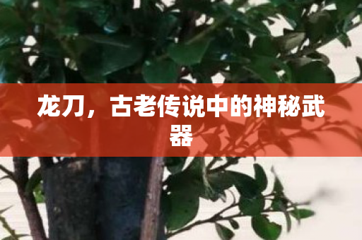 古老传说中的神秘武器图片