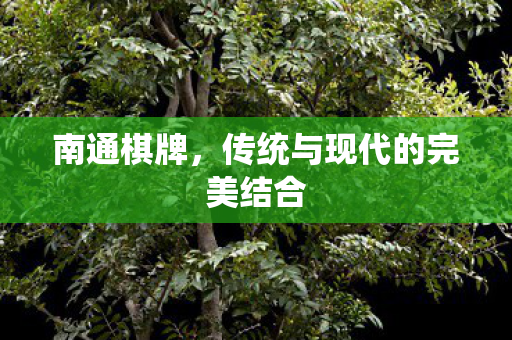 传统与现代的完美结合图片