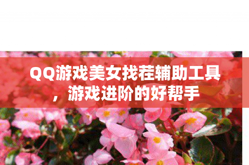 QQ游戏美女找茬辅助工具图片