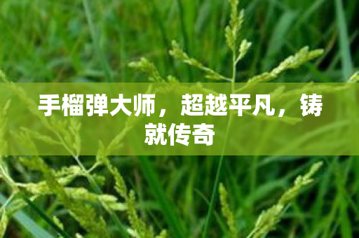 手榴弹大师图片