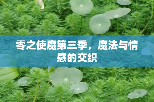魔法与情感的交织图片