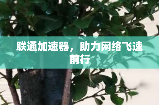 助力网络飞速前行图片